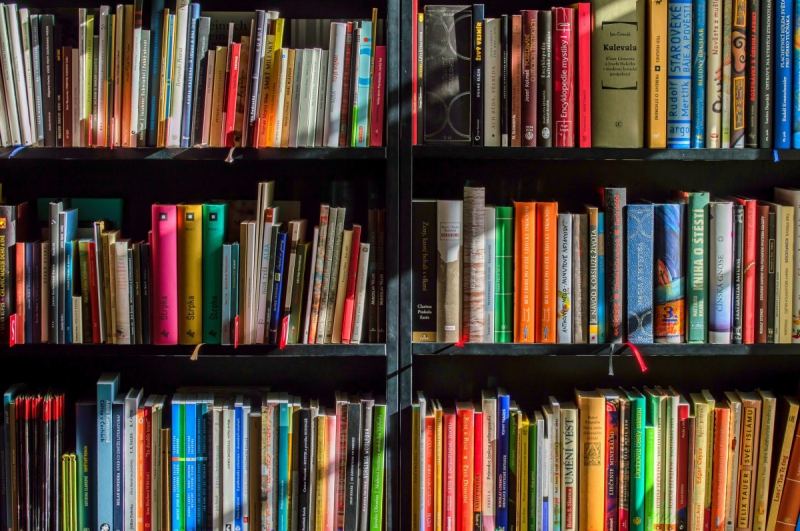 vente-GRIMAUD-min_books_bookstore_book_reading_shop_writer_sale_books_read-822866